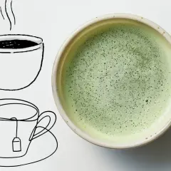 Czy matcha to kawa? Obok rysunków filiżanek z herbatą i kawą, znajduje się miseczka z zielonym, spienionym napojem.