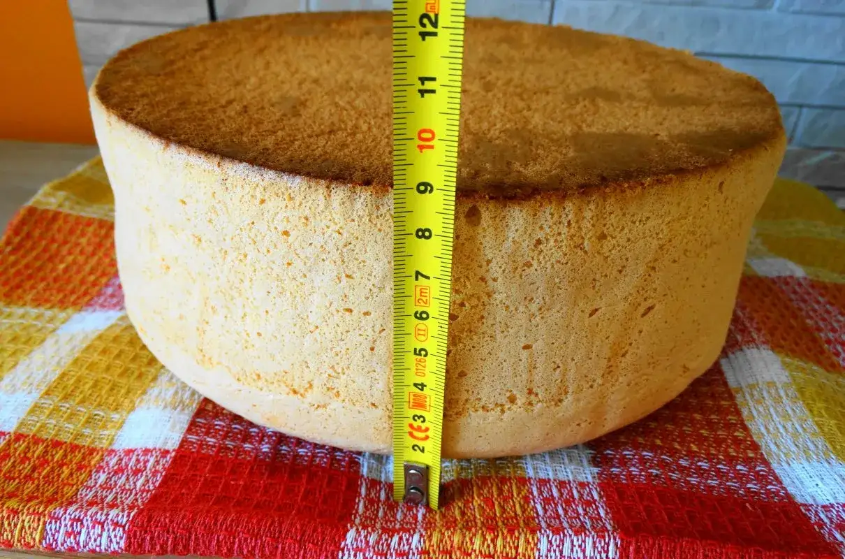 Wysoki biszkopt z 10 jaj, mierzący ok. 9 cm, na kolorowym ręczniku.